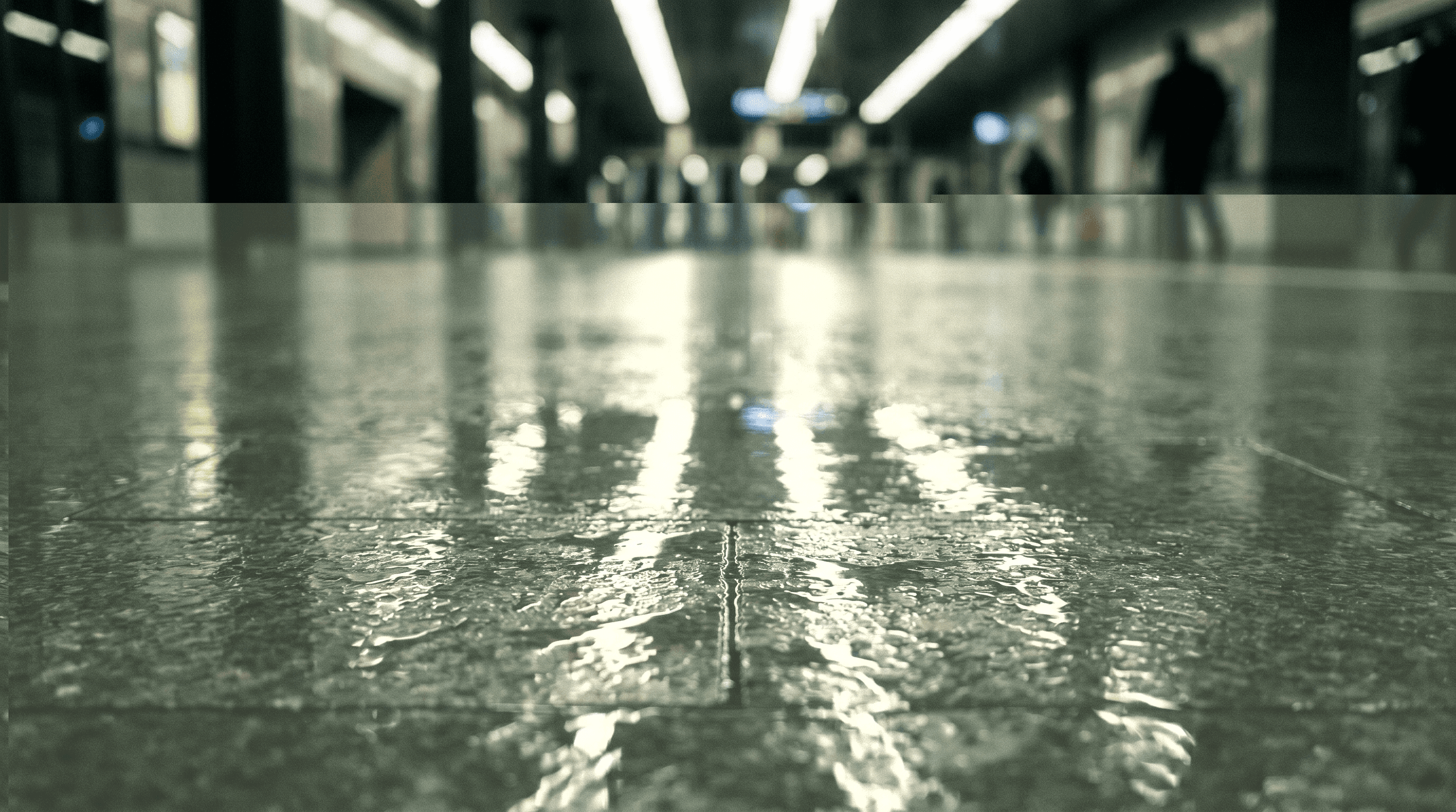 Slip & Fall